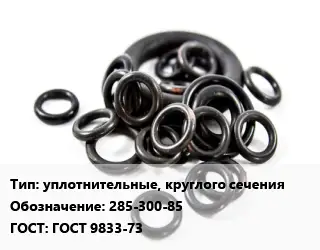 Кольцо РТИ уплотнительные, круглого сечения 285-300-85 ГОСТ: ГОСТ 9833-73